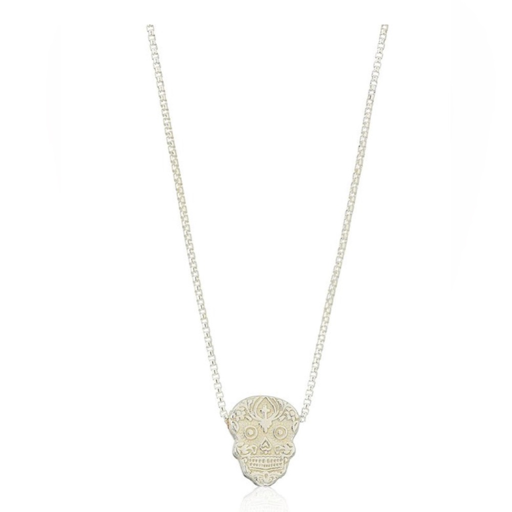 Alex and Ani sugar skull pull chain necklace